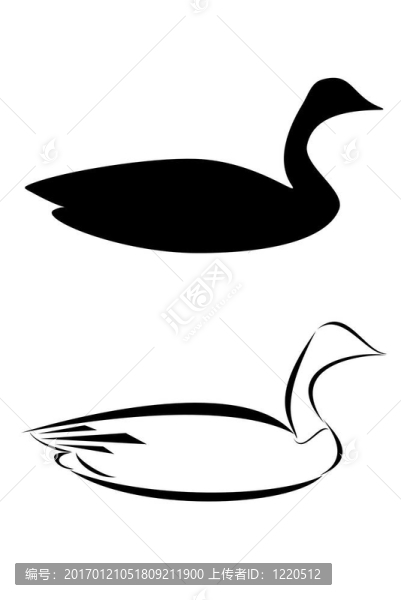 加拿大鵝
