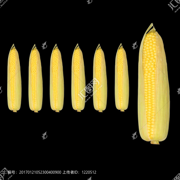 甜玉米