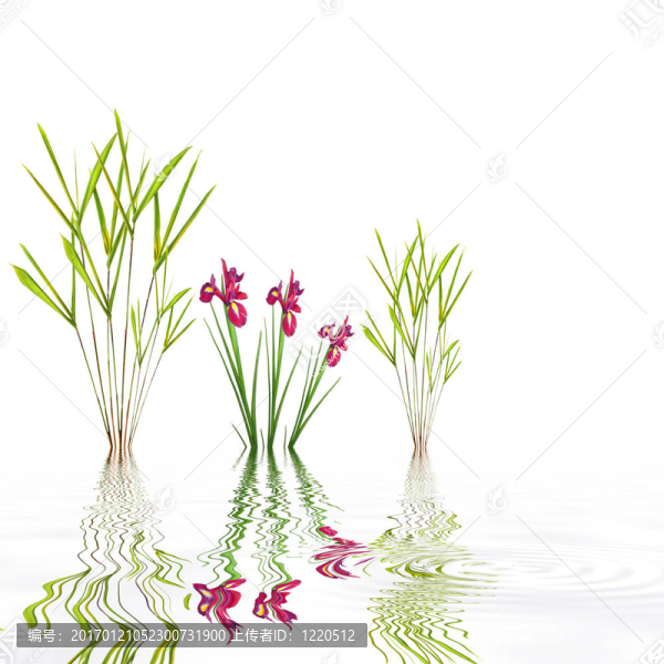 禪宗花園簡單