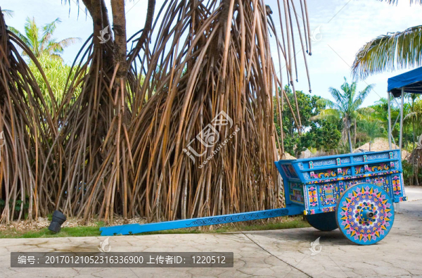 五顏六色的馬車和菩提樹