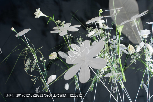花園節(jié)