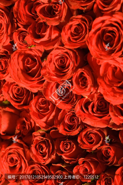 花園節(jié)