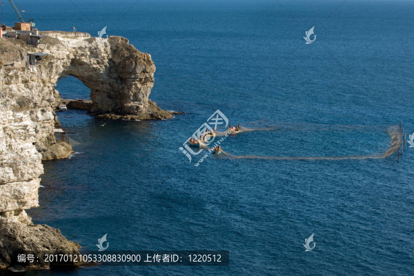 摘下天上的魚