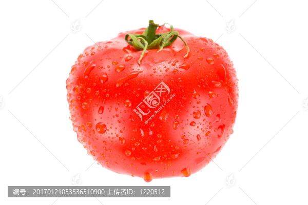 番茄與白水隔離液