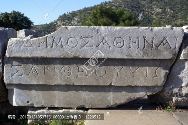 字母