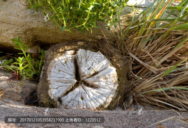 日志的結(jié)束面