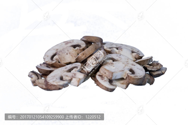 波托貝拉蘑菇
