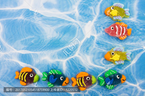 多彩的魚的邊界
