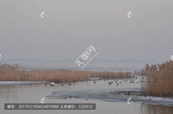 在小溪里游泳