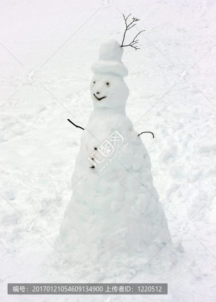 只有樹枝和雪做成的雪人