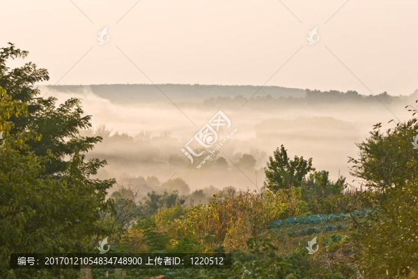 有霧的早晨