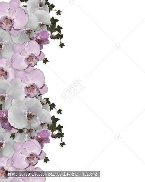 婚禮邀請邊界蘭花常春藤