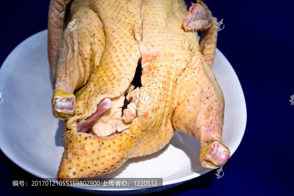 原料鴨