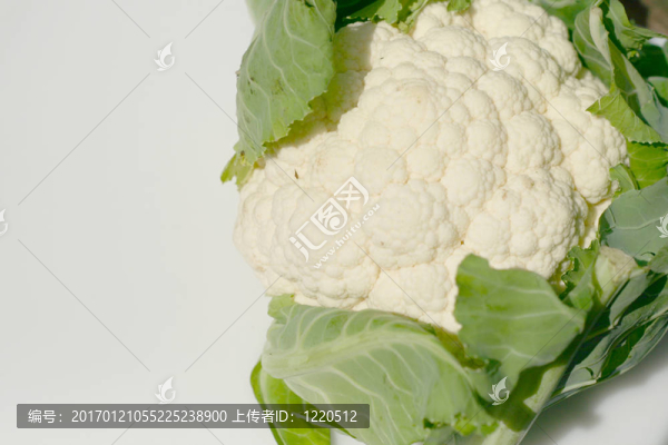 菜花