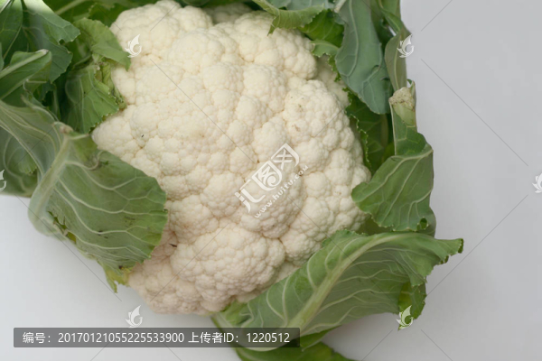 菜花