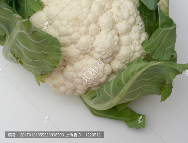 菜花