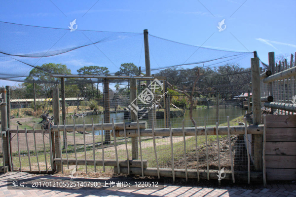 動物園圍欄