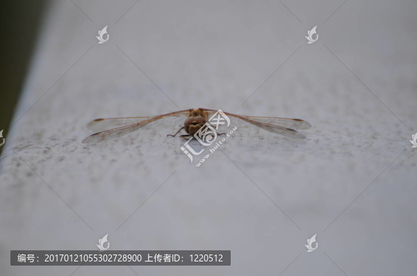 性質040