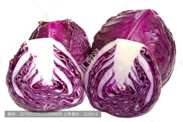 紅卷心菜
