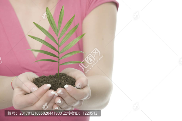 美麗的金發(fā)女孩抱著年幼的植物