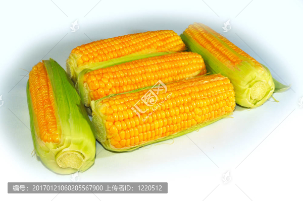 玉米