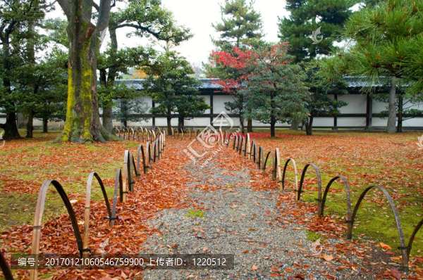 院子里