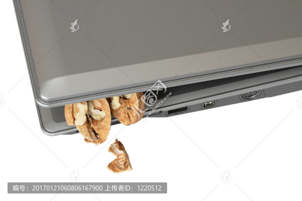 核桃里面的筆記本電腦