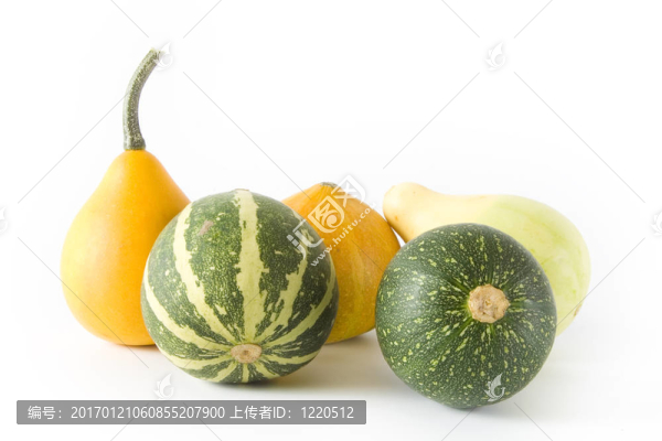 裝飾南瓜