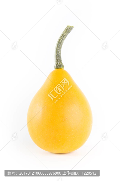 南瓜