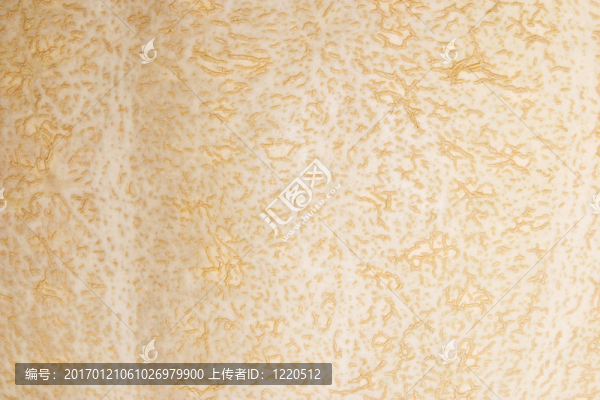 南瓜的細(xì)節(jié)