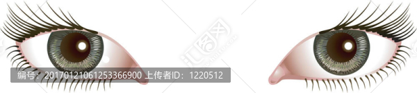 眼睛