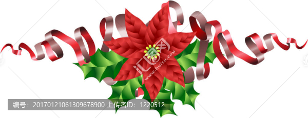 圣誕節(jié)一品紅冬青和絲帶主題