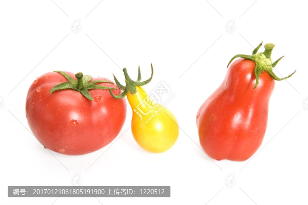 西紅柿