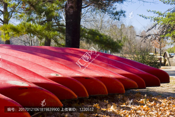 紅色獨(dú)木舟的樹(shù)