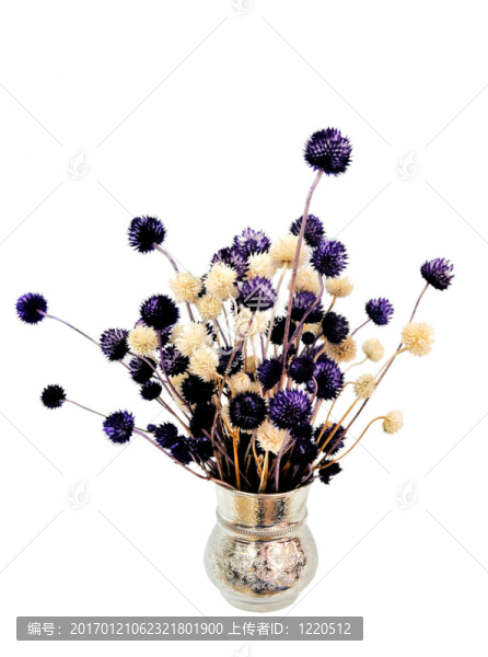 花盆