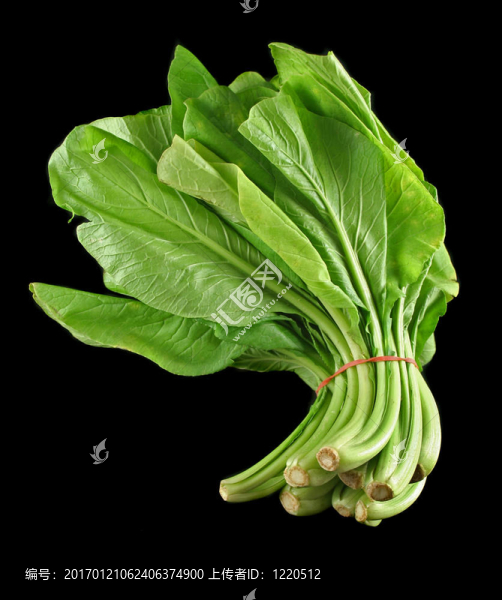 菜心1