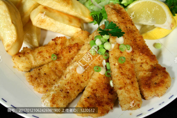 魚和芯片2