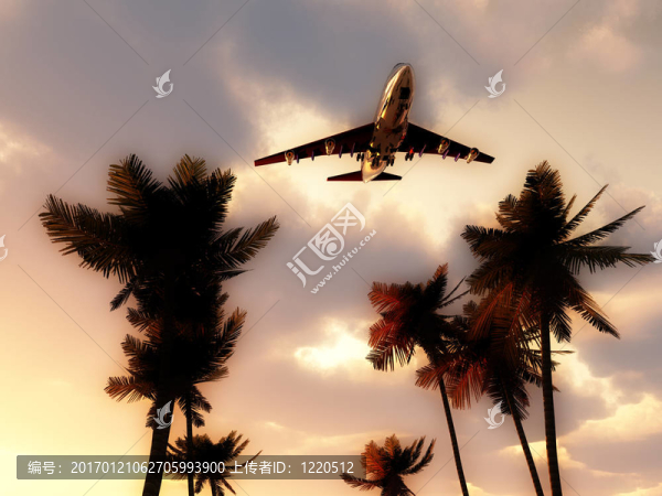 熱帶天空中的飛機(jī)