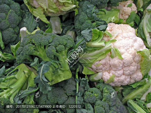 鮮綠花椰菜和花椰菜