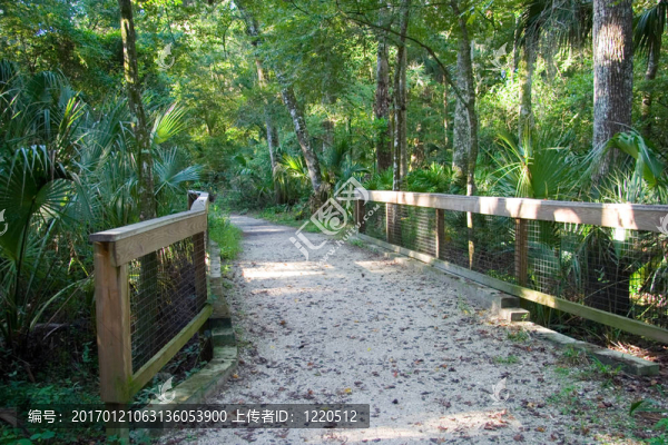 佛羅里達州公園