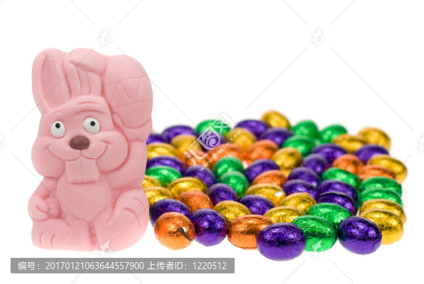 可愛的復(fù)活節(jié)兔子