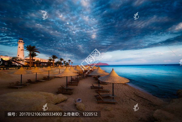 日落和綠綠的海洋