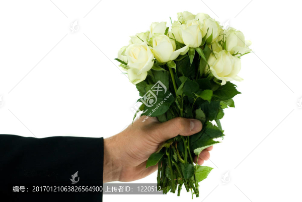 白色玫瑰花束