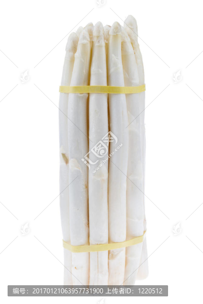 新鮮的白蘆筍