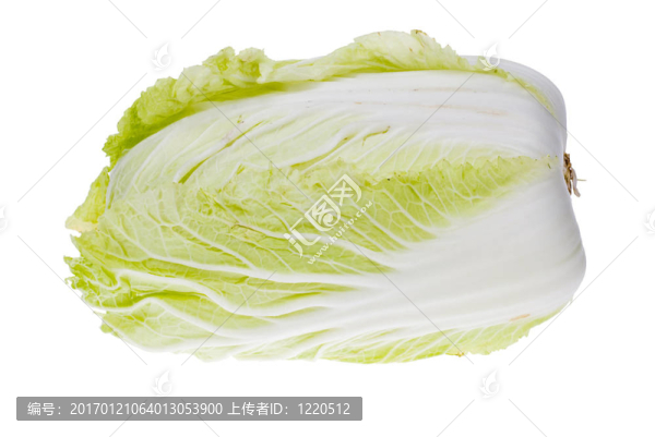 新鮮白菜