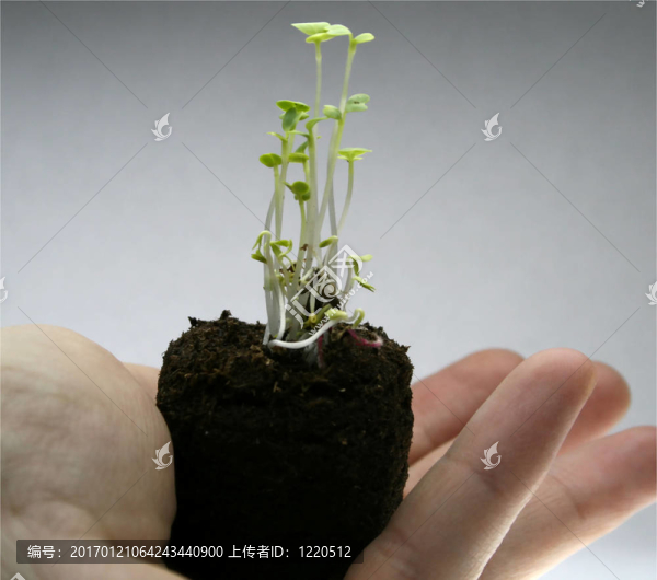 一個(gè)新的生活