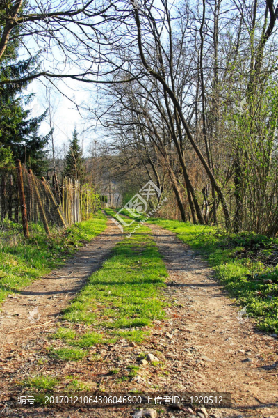 村路2-匯圖網(wǎng) www.fosd68.com 村路2