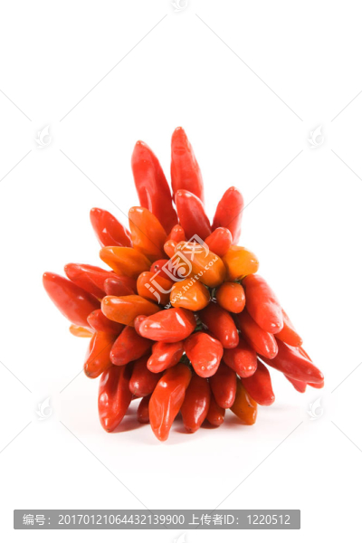 辣椒