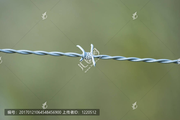 鐵絲網(wǎng)-特寫