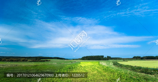 夏天的風(fēng)景
